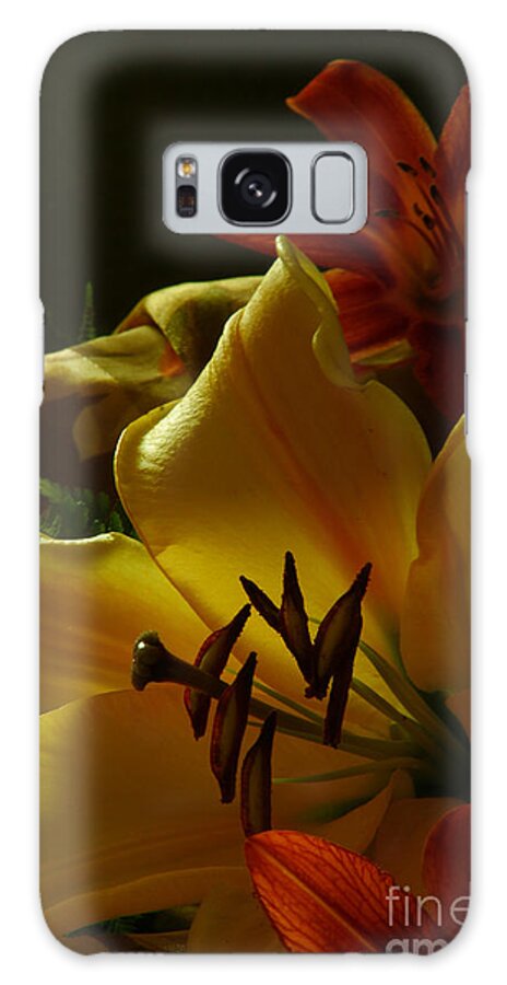 Flower Galaxy S8 Case featuring the photograph Stargazer2 by Loni Collins