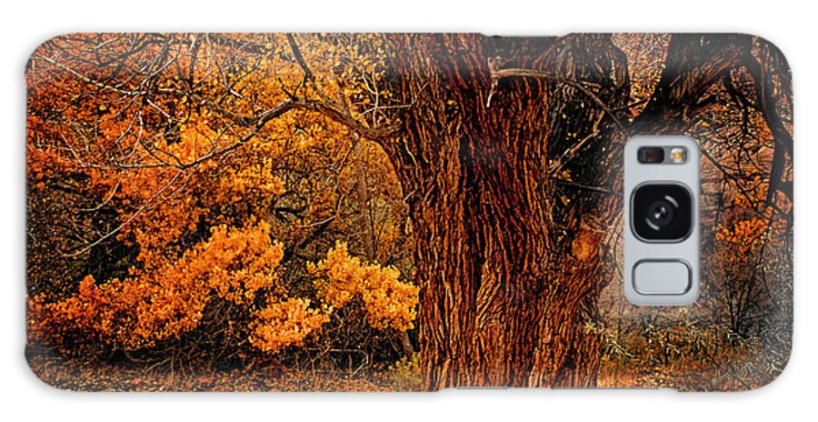 Oak Galaxy Case featuring the photograph Stately Oak by Priscilla Burgers