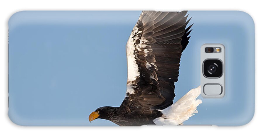 Eagle Galaxy Case featuring the photograph Steller's Eagle Takeoff by Natural Focal Point Photography
