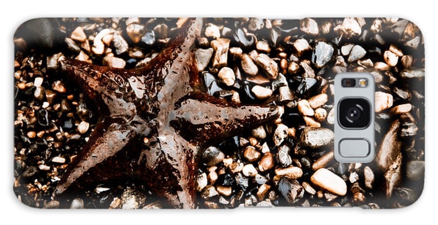 Beauty In Nature Galaxy Case featuring the photograph Stranded Sea Star by Venetta Archer