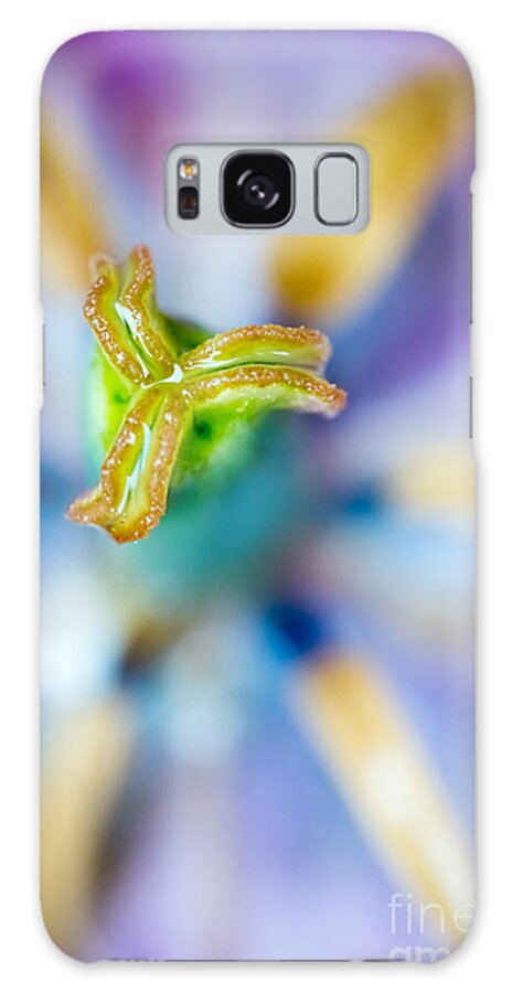 Blossom Galaxy Case featuring the photograph Strange Little World by Hannes Cmarits