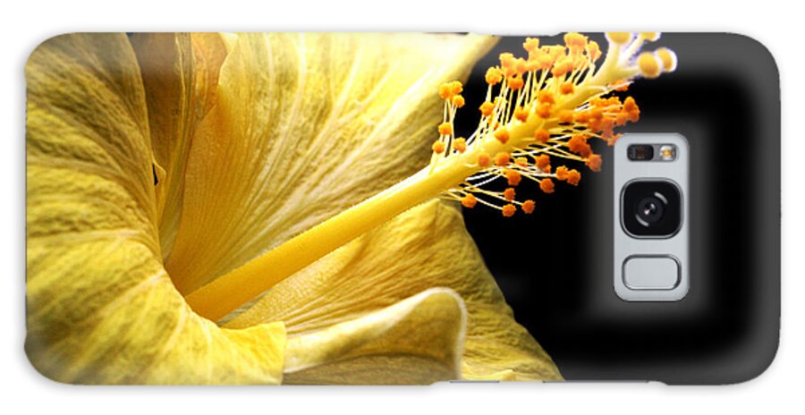 Hibiscus Galaxy Case featuring the photograph Stretcher by Doug Norkum