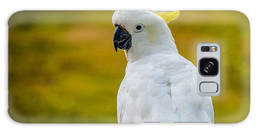 Acrylic Print Galaxy Case featuring the photograph Sulphur-crested Cockatoo by Harry Spitz