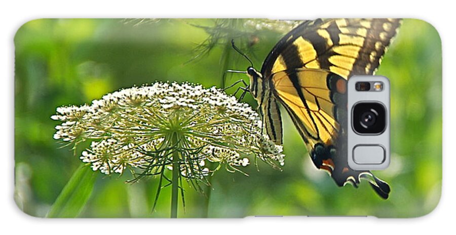 Papilio Glaucus Galaxy S8 Case featuring the photograph Sultry Summer Day by Byron Varvarigos