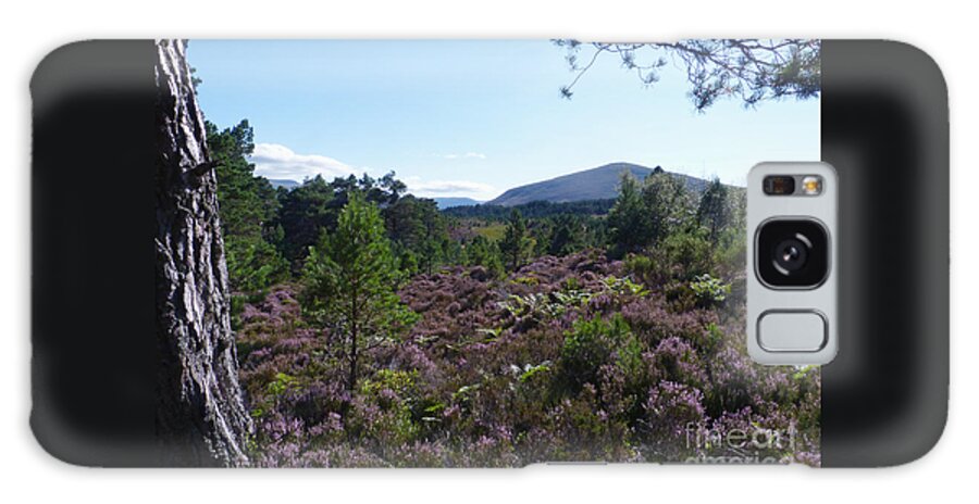 Heather Galaxy Case featuring the photograph Summer in Abernethy Forest by Phil Banks