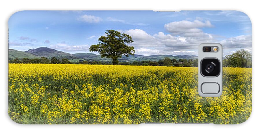 Sky Galaxy S8 Case featuring the photograph Summer Meadow by Ian Mitchell