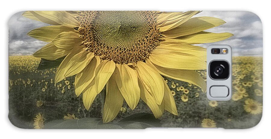 Flowers Galaxy Case featuring the photograph Summer Sun by Robert Fawcett