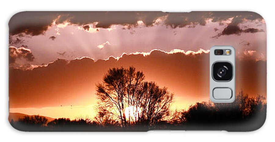 Landscape Galaxy Case featuring the photograph Summer Sunset by Steven Reed