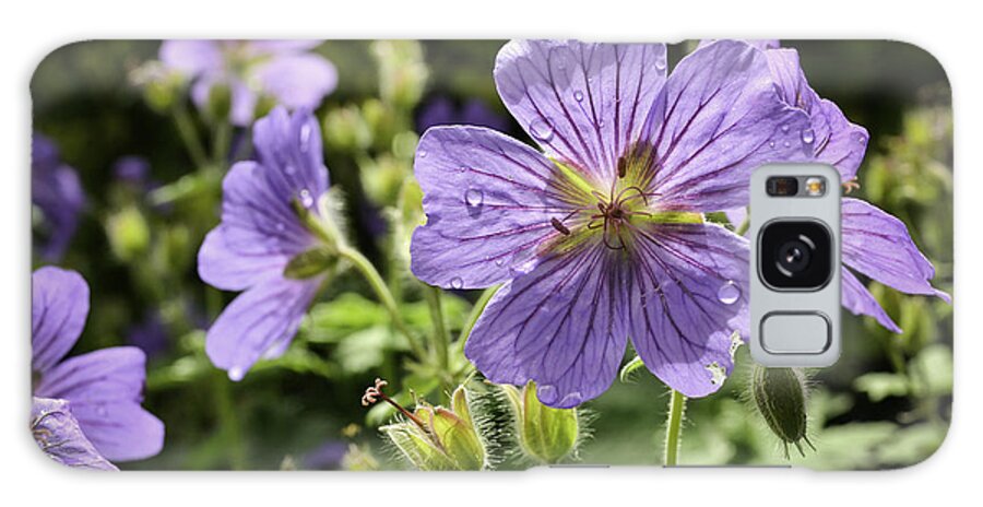 Nature Galaxy Case featuring the photograph Sun bathed Geranium by Spikey Mouse Photography