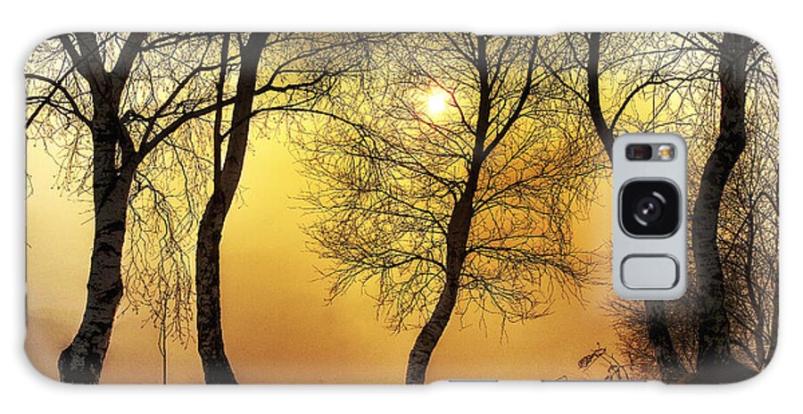 Environment Galaxy Case featuring the photograph Sun behind the trees by Roberto Pagani