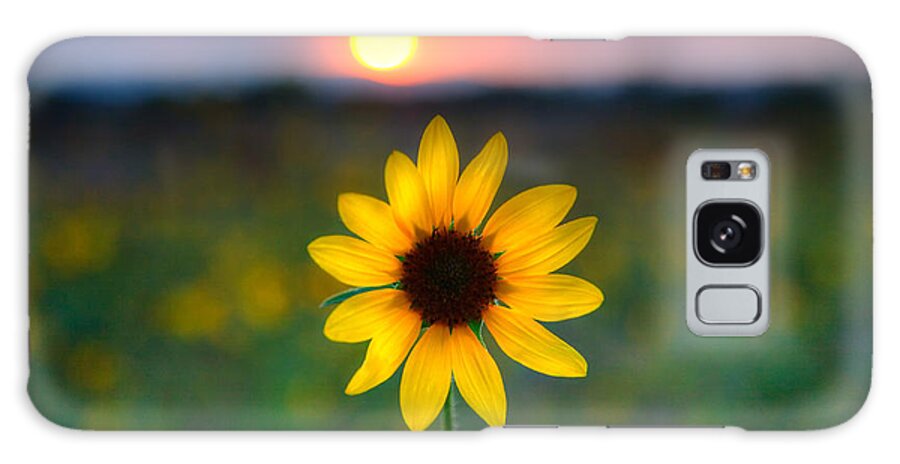 Flowers Galaxy Case featuring the photograph Sun Flower IV by Peter Tellone