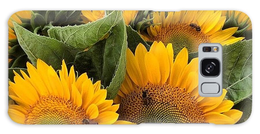 Flower Galaxy Case featuring the photograph #sun #sunflower #flower #bee #bees by Shawn Hope