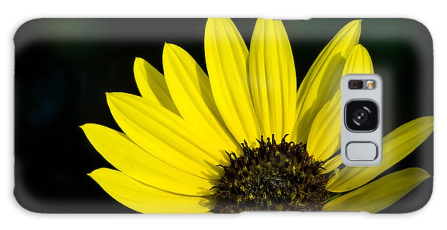 Yellow Galaxy Case featuring the photograph Sunflower 3 by Stacy Michelle Smith