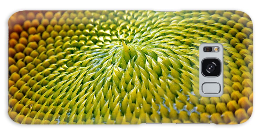 Sunflower Galaxy Case featuring the photograph Sunflower by Christina Rollo