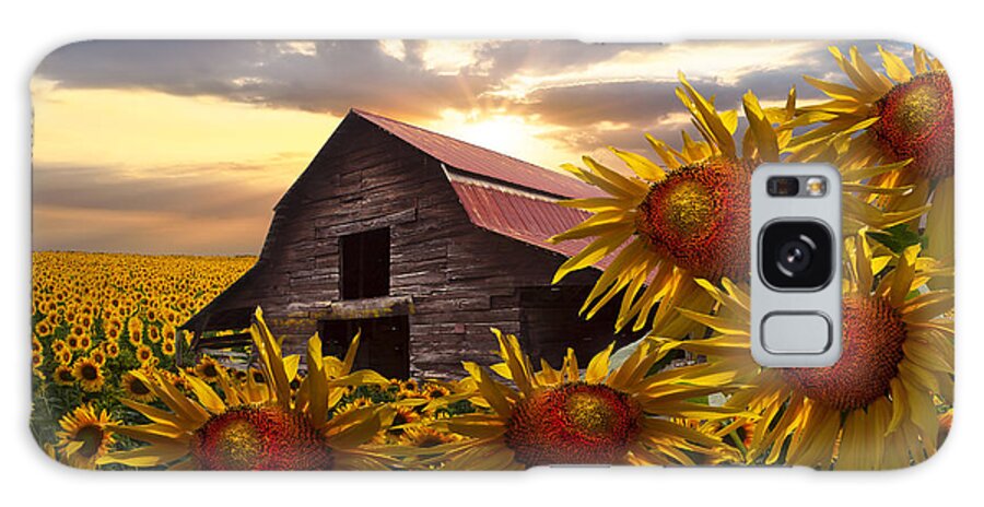 Barn Galaxy Case featuring the photograph Sunflower Dance by Debra and Dave Vanderlaan