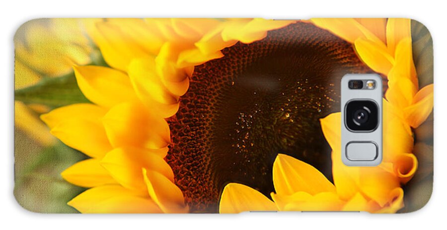 Sunflowers Photos Galaxy S8 Case featuring the photograph Sunflower by Eden Baed