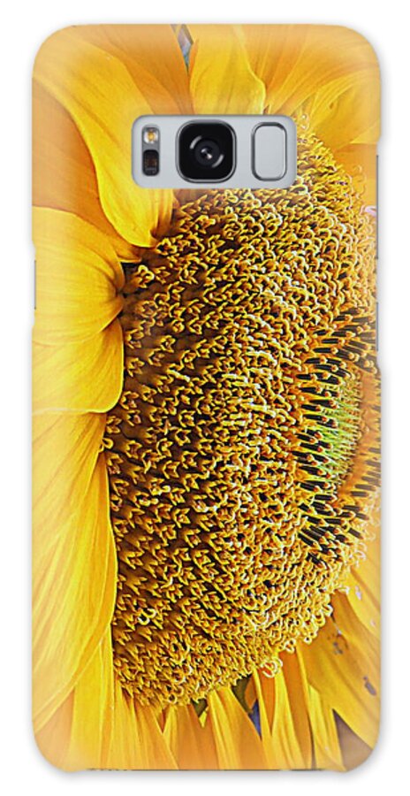 Macro Galaxy Case featuring the photograph Sunflower by Kay Novy