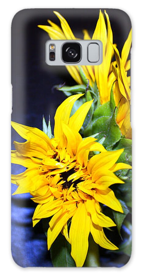 Sunflower Galaxy Case featuring the photograph Sunflower Portrait by Kelly Holm