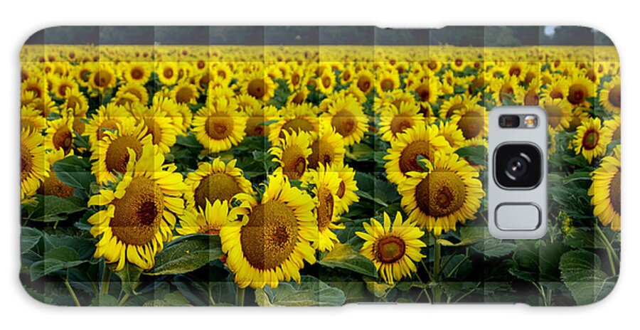 Sunflower Galaxy Case featuring the photograph Sunflower Squared by Kathy Churchman