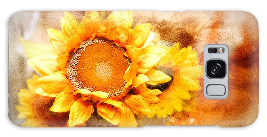 Sunflowers. Yellow Petals. Autumn. Fall Colors. Flowers. Photography. Fine Art. Print. Canvas. Texture. Poster. Greeting Card. Galaxy Case featuring the photograph Sunflowers Aglow by Mary Timman