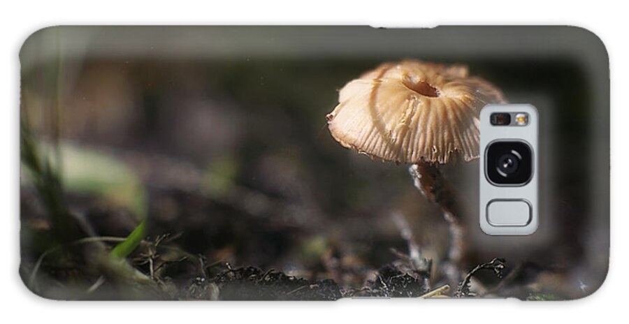 Mushroom Galaxy Case featuring the photograph Sunlit Mushroom by Scott Norris