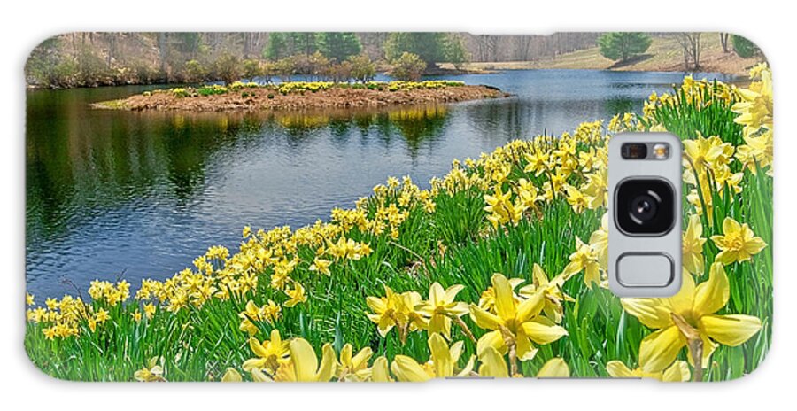Daffodil Galaxy S8 Case featuring the photograph Sunny Daffodil by Bill Wakeley