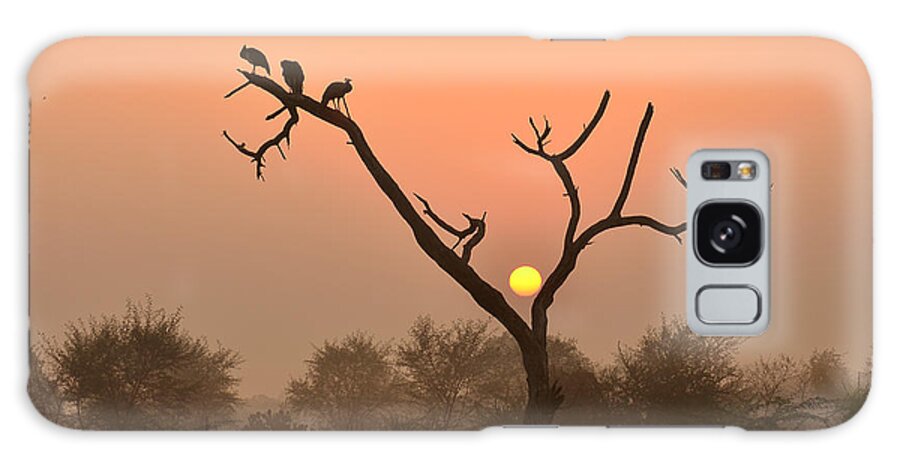 Peacock Galaxy Case featuring the photograph Sunrise at Bharatpur by Fotosas Photography