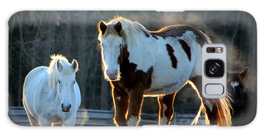 Horse Galaxy Case featuring the photograph Sunrise on Cowboy by Rabiah Seminole