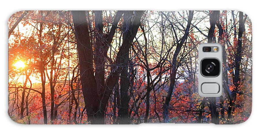 Sunset Autumn Galaxy Case featuring the photograph Sunset Autumn by PJQandFriends Photography