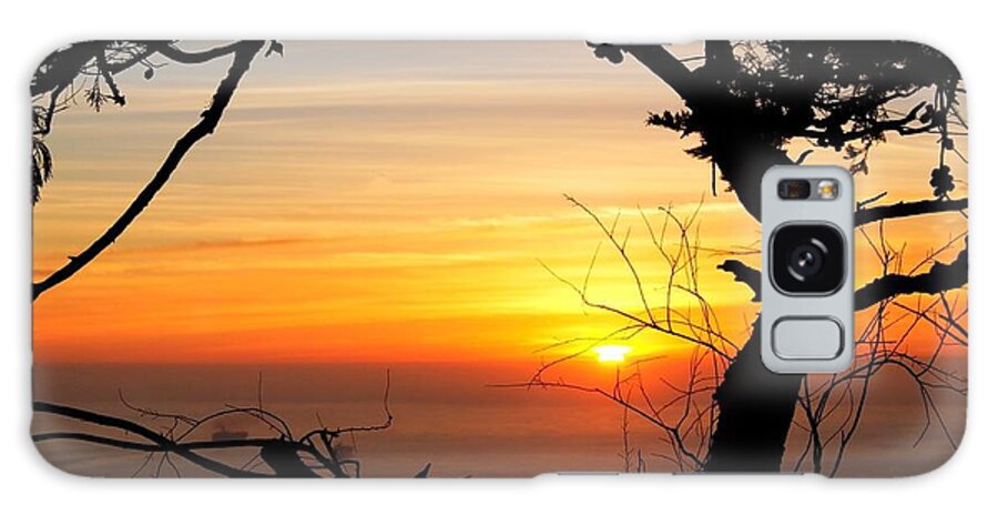 Sunset Galaxy S8 Case featuring the photograph Sunset in a Tree Frame by Alexander Fedin