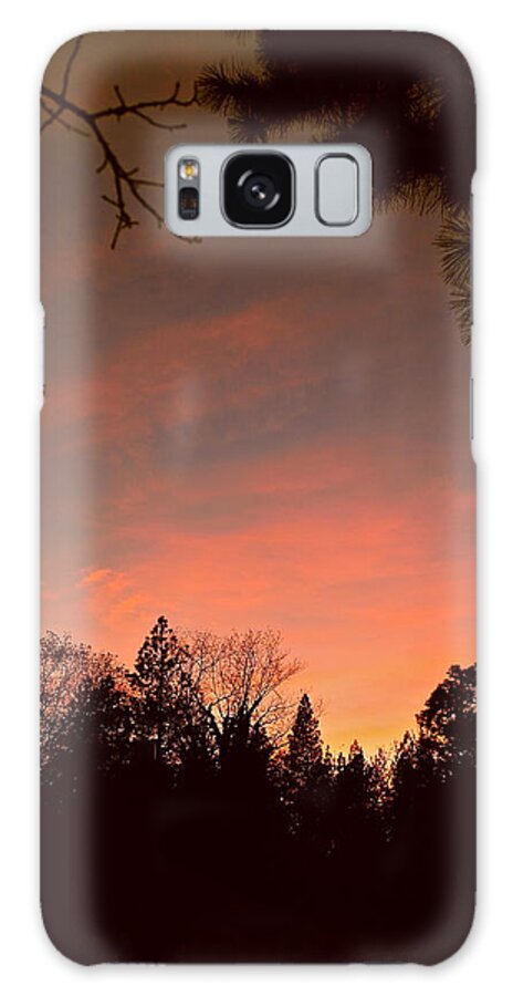 Sunset Galaxy Case featuring the photograph Sunset In Winter by Michele Myers