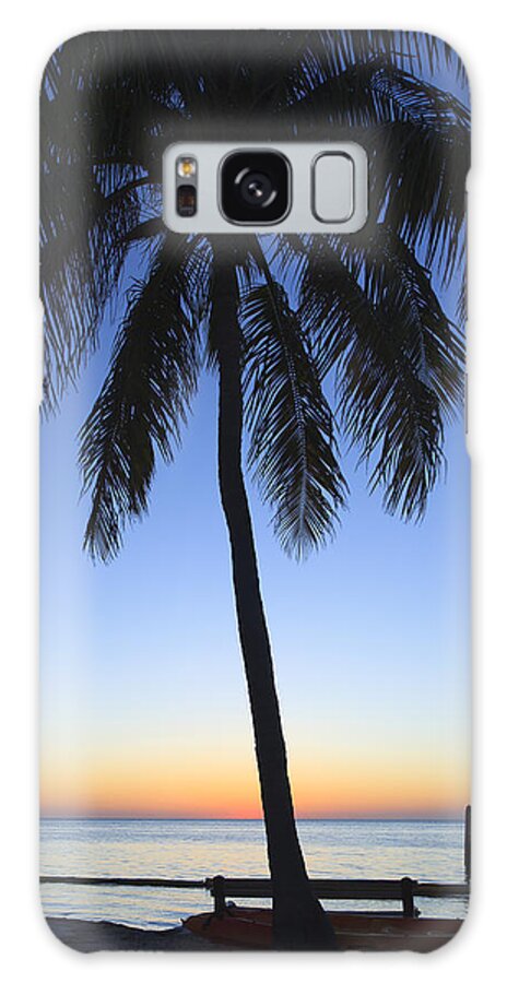 Bayshore Galaxy Case featuring the photograph Sunset Palm by Raul Rodriguez