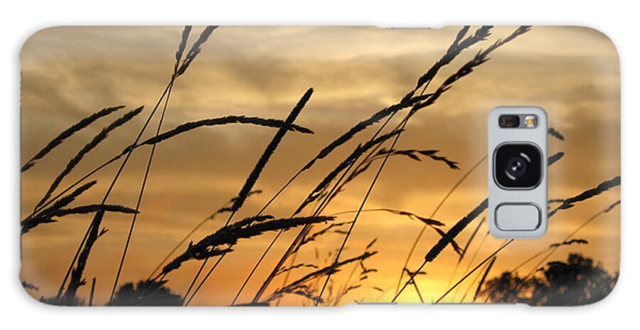 Grass Galaxy Case featuring the photograph Sunset Sentinels by Carolyn Jacob