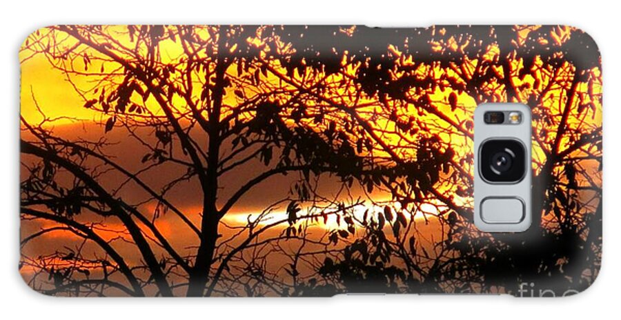 Sunset Galaxy Case featuring the mixed media Sunset Through Treetops by Leanne Seymour