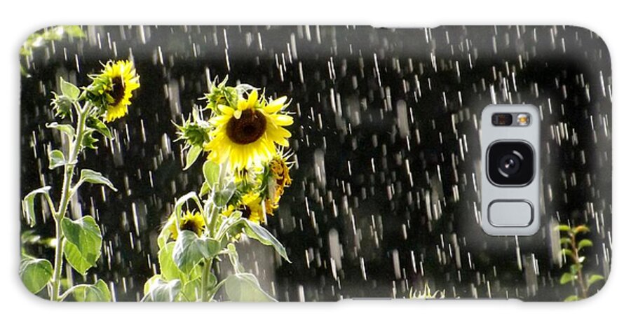 Sunshine In The Rain Galaxy Case featuring the photograph Sunshine in the Rain by Elizabeth Sullivan