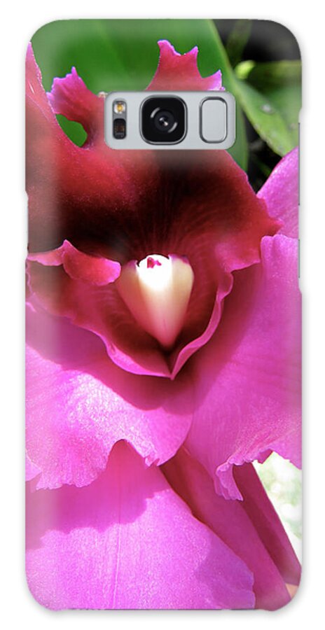 Flower Galaxy Case featuring the photograph Surprise Bloom by Alan Metzger