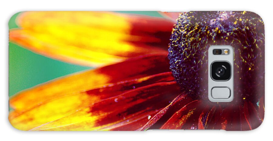 Cone Flower Galaxy Case featuring the photograph Susy by Judy Salcedo
