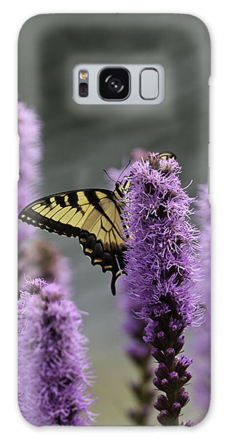 Butterflies Galaxy Case featuring the photograph Swallowtail 0003 by Donald Brown