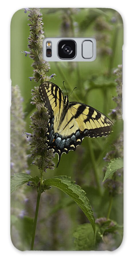 Butterflies Galaxy Case featuring the photograph Swallowtail in Flower Field by Donald Brown