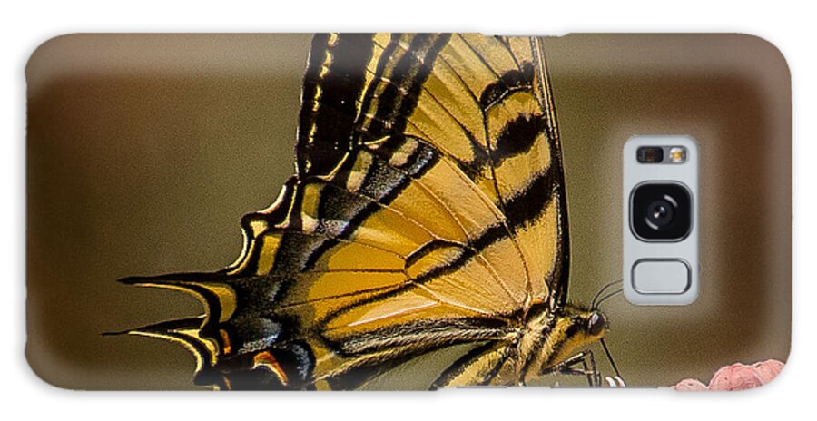 Butterfly Galaxy Case featuring the photograph Swallowtail on Milkweed by Janis Knight