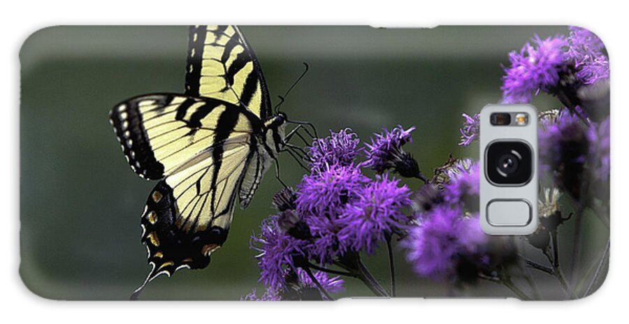 Blue Ridge Moumtains Galaxy Case featuring the photograph Swallowtail on Purple by Donald Brown