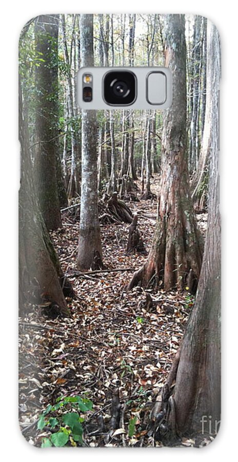 Big Thicket Galaxy Case featuring the photograph Swamp Edge Portrait by D Wallace