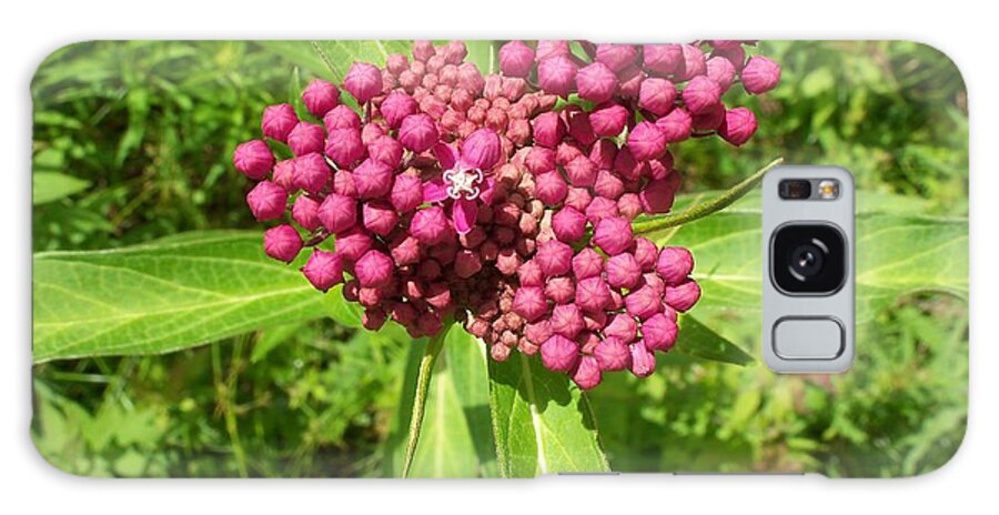 Nature Galaxy S8 Case featuring the photograph Swamp milkweed by David Pickett