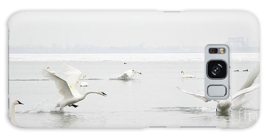 Swan Galaxy Case featuring the photograph Swan Fight by Laurel Best