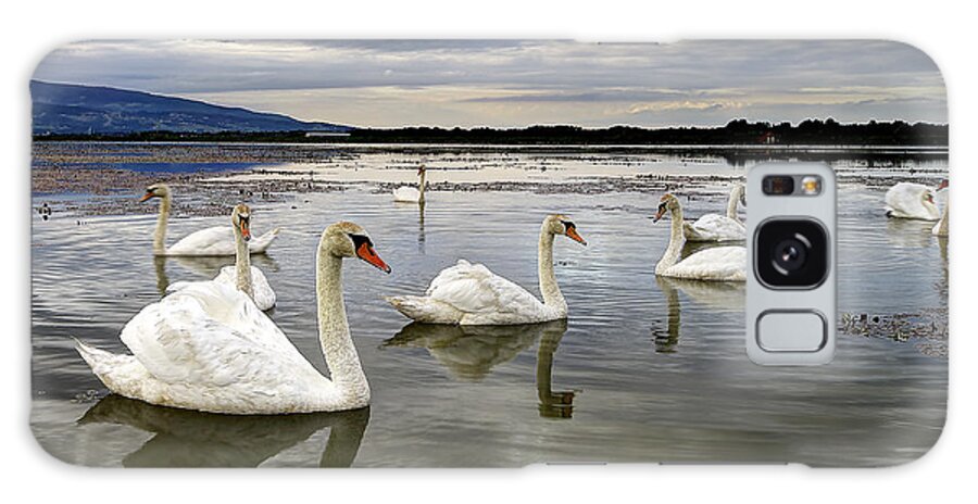Water Galaxy Case featuring the photograph Swans by Ivan Slosar