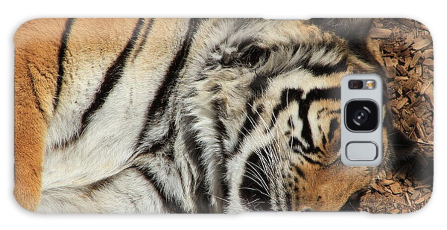 Tiger Galaxy Case featuring the photograph Sweet Dreams by Fiona Kennard