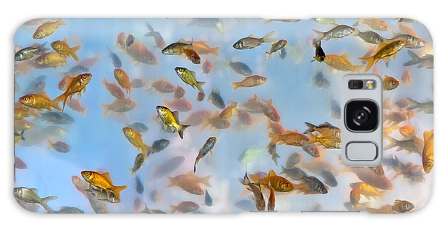 Fish Galaxy Case featuring the photograph Swimming With The Fishes by Mimi Ditchie