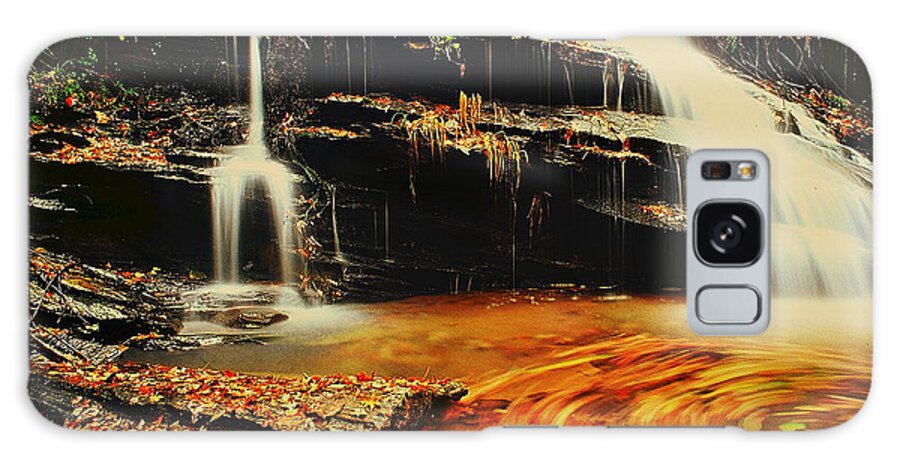 Fine Art Galaxy Case featuring the photograph Swirling Leaves by Rodney Lee Williams