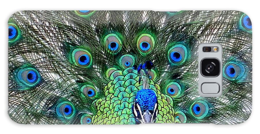 Feathers Galaxy Case featuring the photograph TALK of the WALK by Karen Wiles