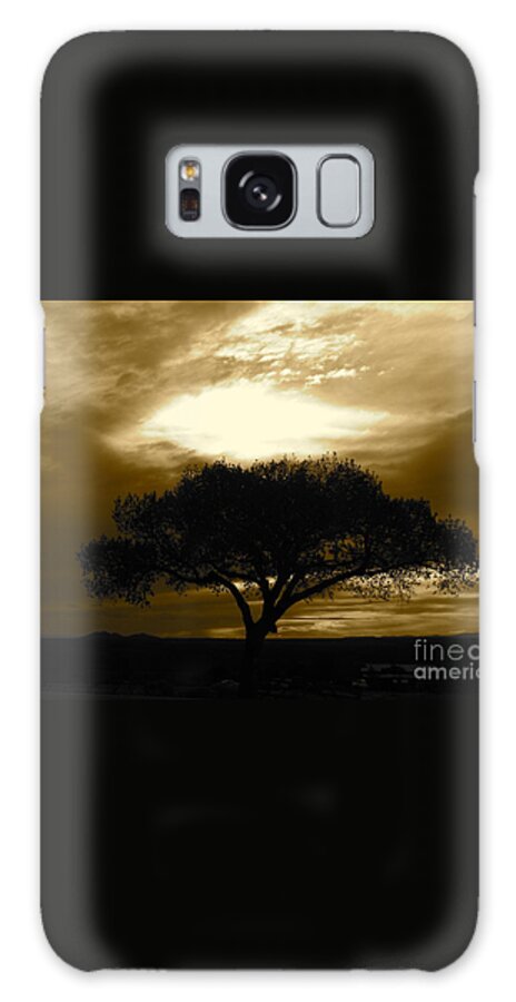 Tree Galaxy Case featuring the photograph Taos Tree by LeLa Becker